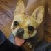 Eric Shank - Facebook