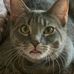 Eric Shank - Facebook