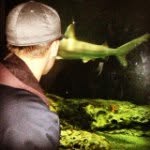Eric - @ericsharkey_ - Instagram
