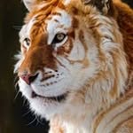 Eric Sharp - @eric1296 - Instagram