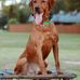 Eric Sharp - Facebook