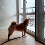 Eric Shear - @gulcalyuzy - Instagram