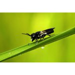 Eric Sherlock - @airtialaybe - Instagram
