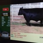 Eric Sherrill - @eric.sherrill.121 - Instagram