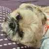 ericpshifflett - @ericpshifflett - TikTok