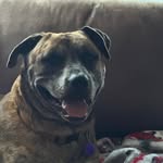 Eric Shilling - @ericshilling - Instagram
