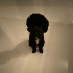 @e.ricshin - Instagram