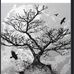 Eric Shoupe - Facebook