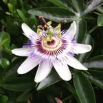Eric Shoff - @shofferic - Instagram