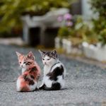 Eric Shore - @shore4495 - Instagram