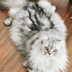 Eric Silver - @payousjnr - Instagram