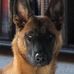 Eric Simonis - Facebook