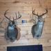 Eric Singletary - Facebook