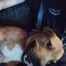 Eric Slagle - Facebook