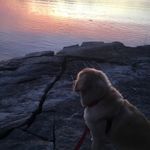 Eric Sleeper - @eric.sleeper - Instagram
