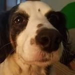 Eric Slusser - @eric.slusser.16 - Instagram