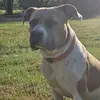 Erick Sneed - @erick.sneed - TikTok