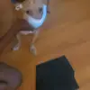 Erick Sneed - @erick.sneed6 - TikTok