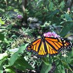 Eric Snell - @eric.snell.1 - Instagram