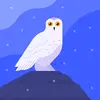 Eric Snow - @eric.snow784 - TikTok