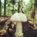 Eric Soder - @esoderica - Instagram