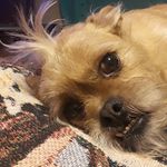 Eric Solem - @hotrodz21 - Instagram