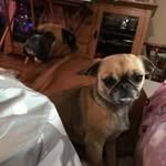 Eric Spiller - @espiller1 - Instagram
