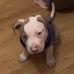 Eric Spiller - Facebook