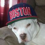 eric spring - @espring2024 - Instagram