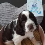eric sprocker - @ericsprocker - Instagram