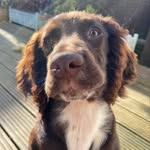 Laura Moorcroft - @eric_sprocker - Instagram