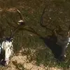 Eric Stanley - @eric.stanley5 - TikTok