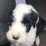 Eric Staub - @eric.staub - Instagram