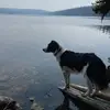 ericsteiger48 - @ericsteiger48 - TikTok