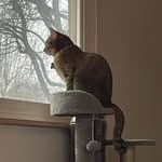 Eric Stein - @ericbigkatstein - Instagram
