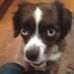 Eric Steinhauer - Facebook
