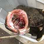 Eric Steinhoff - @esteinhoffsb - Instagram