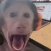 Eric Stenberg - @erictherockberg - TikTok