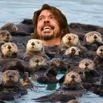 Eric Steward - @ericsdumb - Instagram