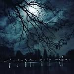 Eric Stoffers - @erichansstoffers - Instagram