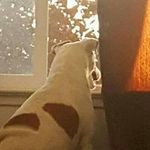 Eric Straight - @straighteric - Instagram