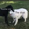 ericstrait1 - @hal.gil - TikTok