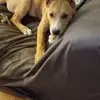 Eric Strange - @eric.strange0 - TikTok
