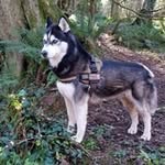 Eric Stuckey - @stuckeyeric - Instagram