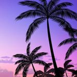 Erica Stutzman - @erica.stutzman - Instagram