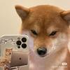 eric sun - @eric.sun91 - TikTok