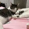 Eric Sun - @eric.sun6 - TikTok