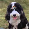 Eric Sundstrom - @ericsundstrom - TikTok