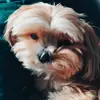 Eric Sutphin - @ericsutphin5031 - TikTok