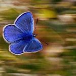 Eric Swafford - @ericswafford57 - Instagram